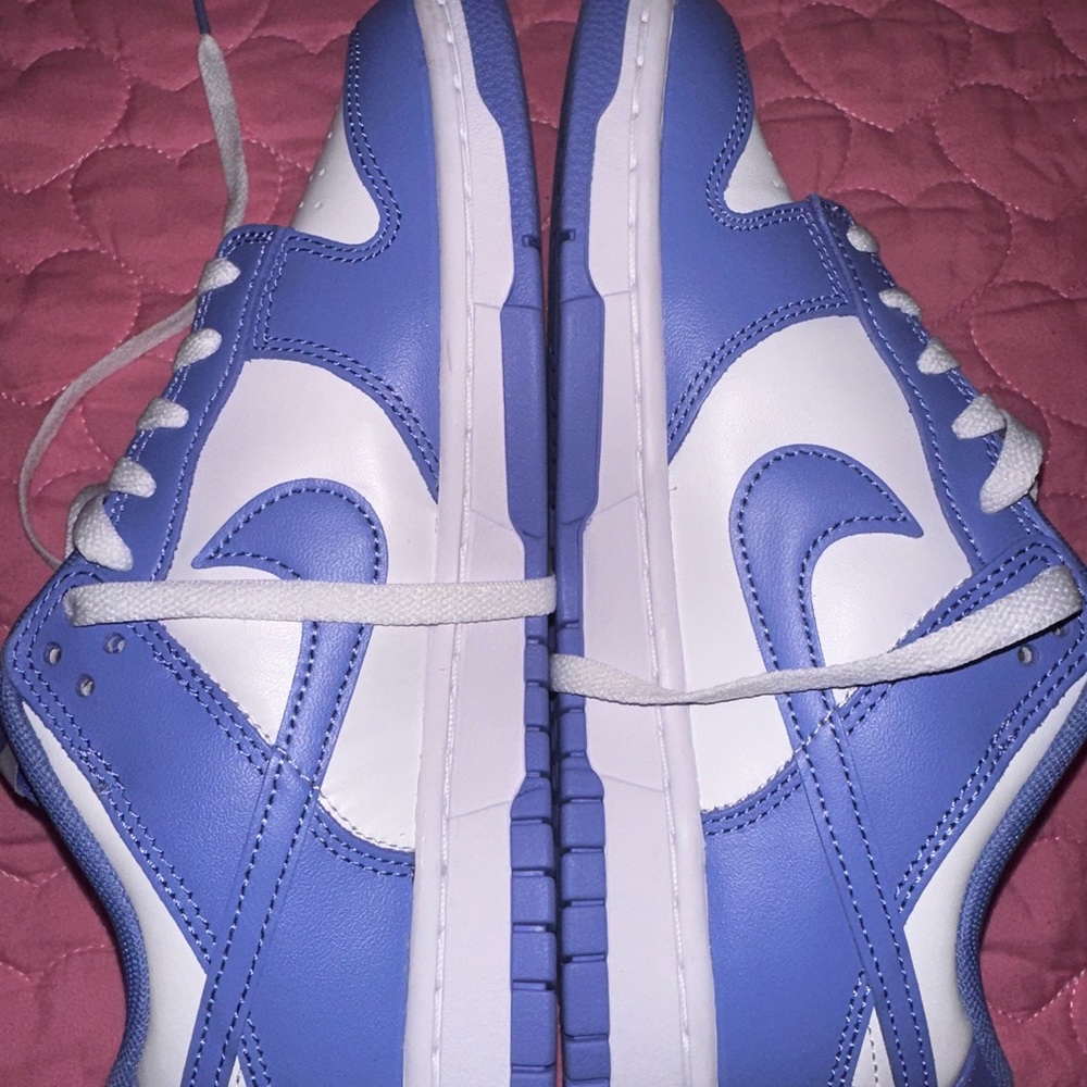 Nike dunk low retro